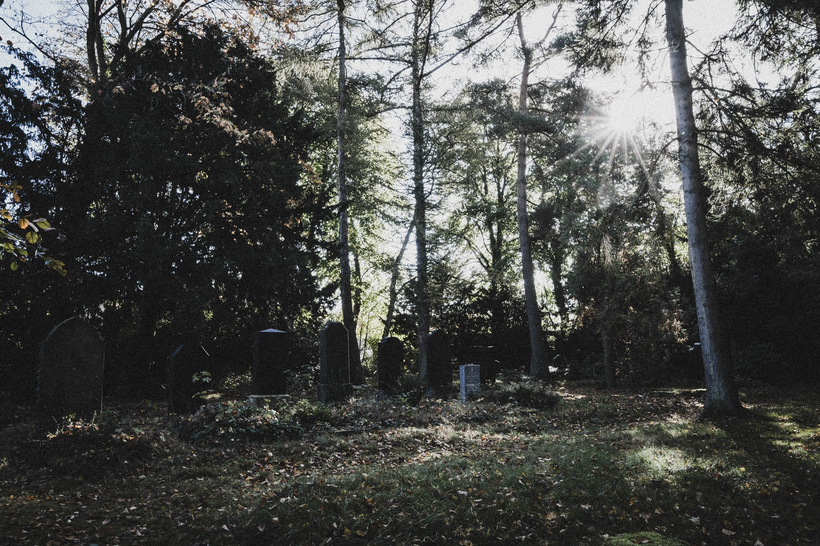 Schortens-Heidmühle, Jüdischer Friedhof